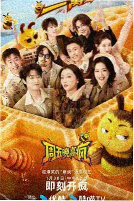 韩综真人秀双语字幕封面